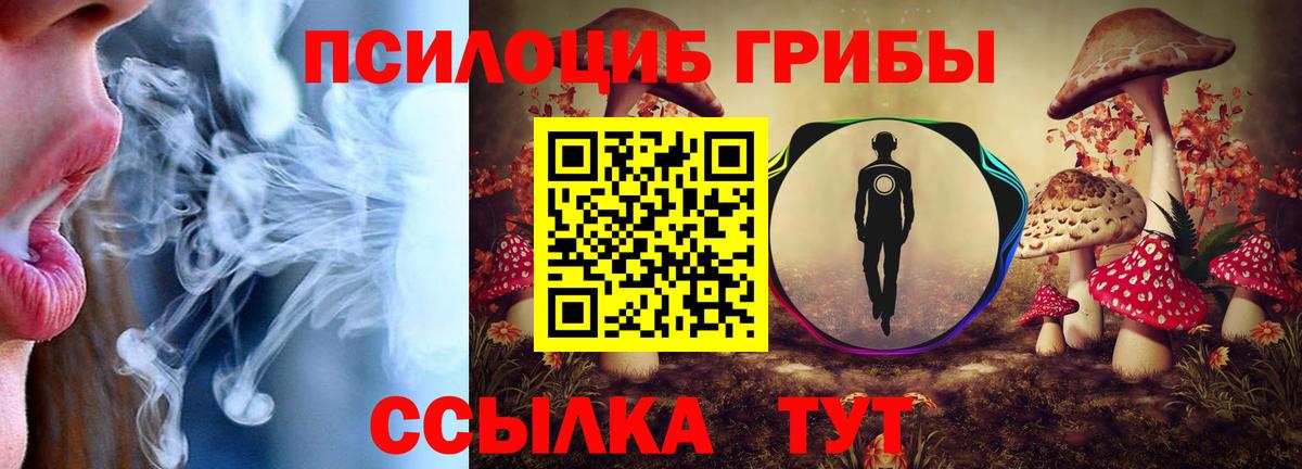 Десногорск  Псилоцибиновые грибы мицелий  Вход с VPN 